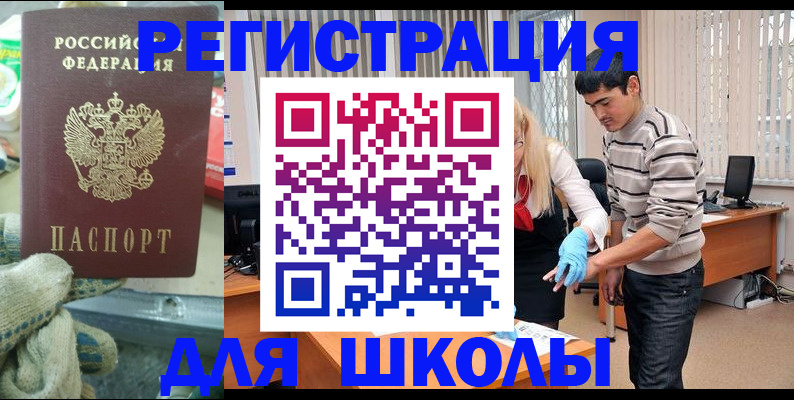 временная регистрация поиск в Приозерске